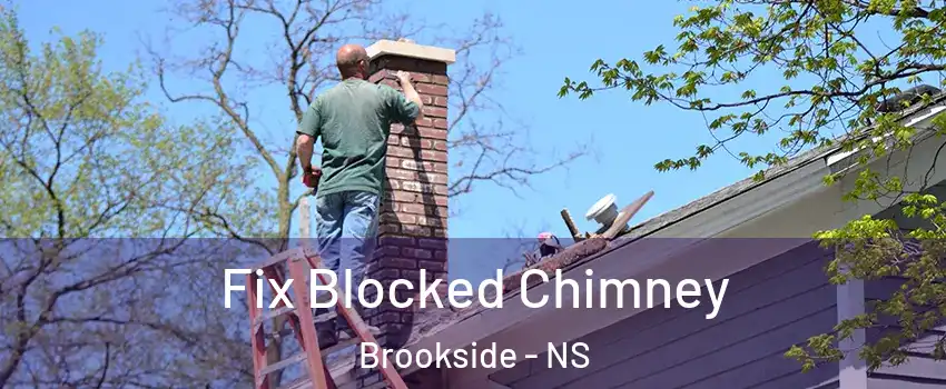  Fix Blocked Chimney Brookside - NS