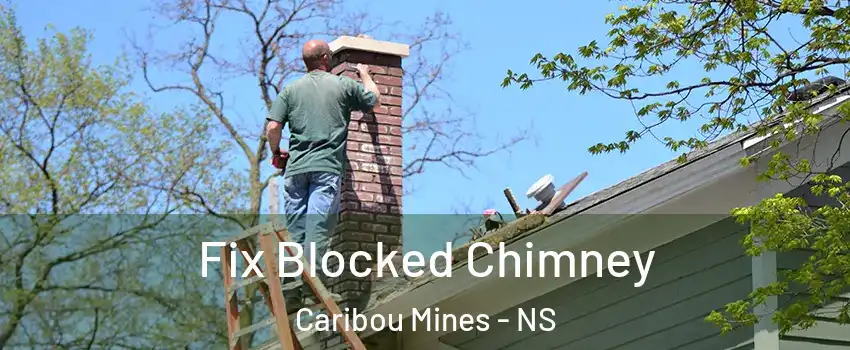  Fix Blocked Chimney Caribou Mines - NS