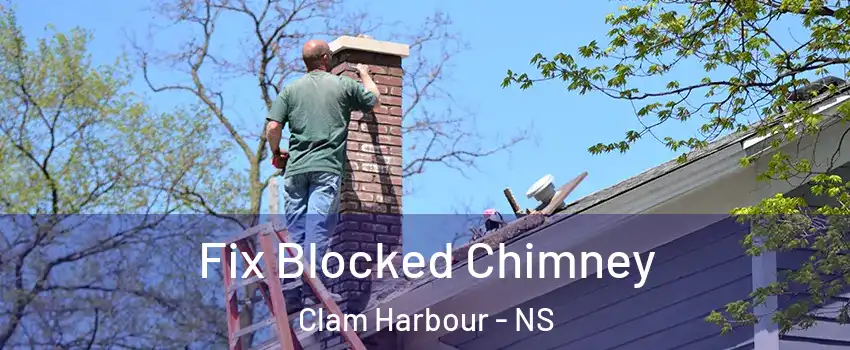  Fix Blocked Chimney Clam Harbour - NS