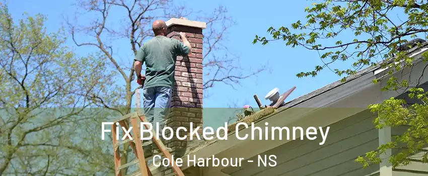  Fix Blocked Chimney Cole Harbour - NS
