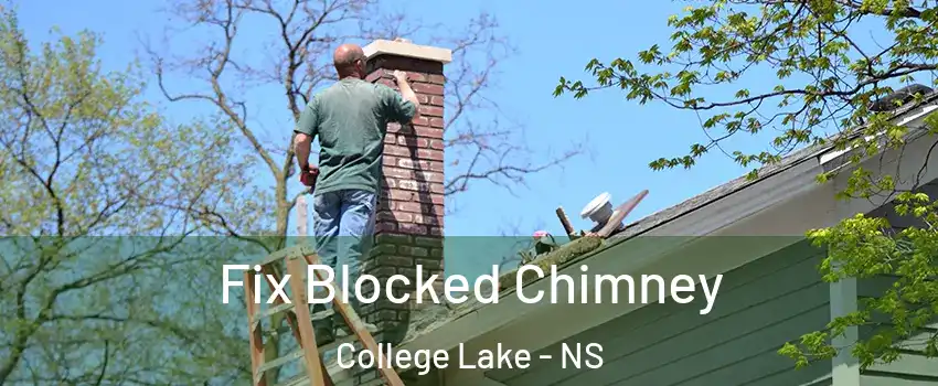 Fix Blocked Chimney College Lake - NS
