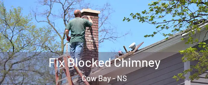  Fix Blocked Chimney Cow Bay - NS