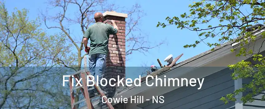  Fix Blocked Chimney Cowie Hill - NS
