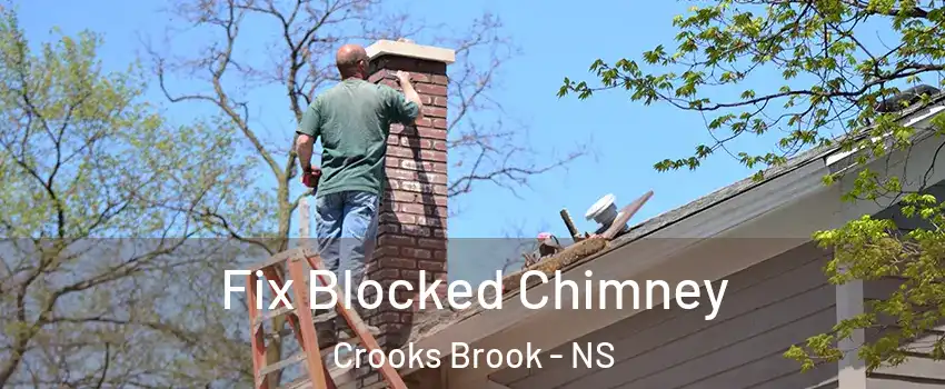  Fix Blocked Chimney Crooks Brook - NS