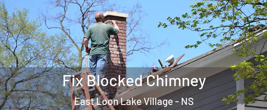  Fix Blocked Chimney East Loon Lake Village - NS