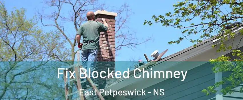  Fix Blocked Chimney East Petpeswick - NS