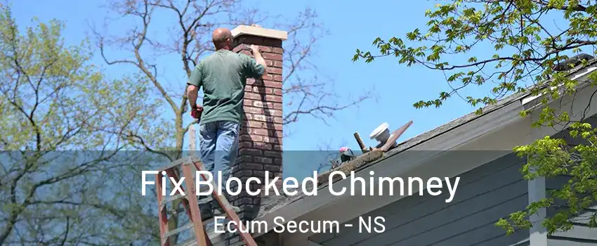  Fix Blocked Chimney Ecum Secum - NS