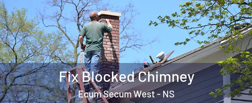  Fix Blocked Chimney Ecum Secum West - NS