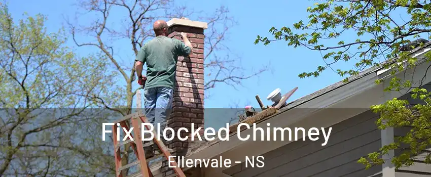 Fix Blocked Chimney Ellenvale - NS