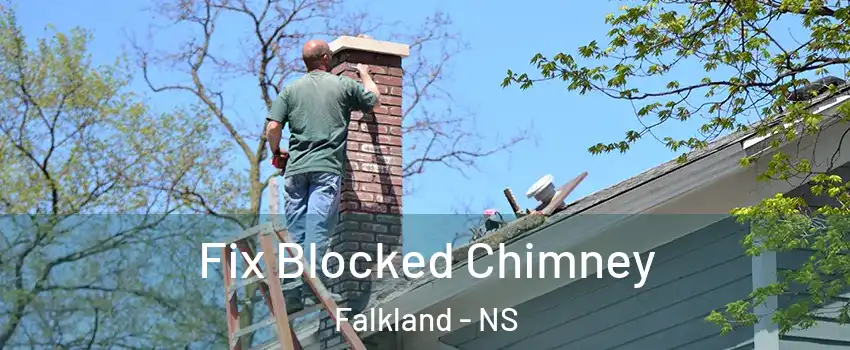  Fix Blocked Chimney Falkland - NS