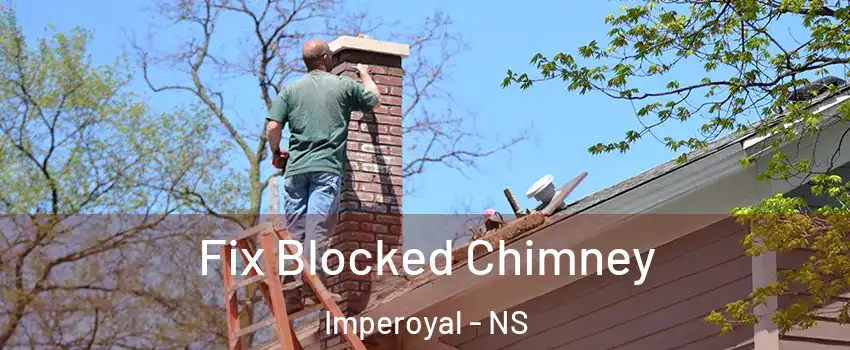  Fix Blocked Chimney Imperoyal - NS
