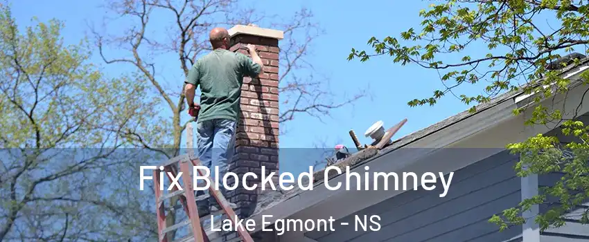  Fix Blocked Chimney Lake Egmont - NS