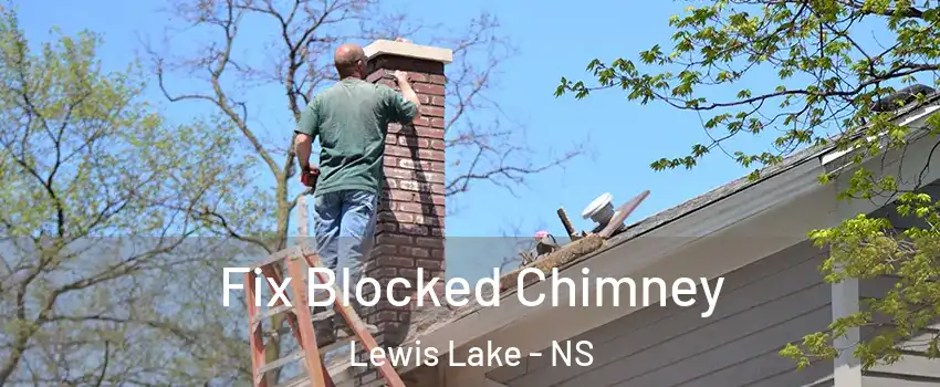  Fix Blocked Chimney Lewis Lake - NS