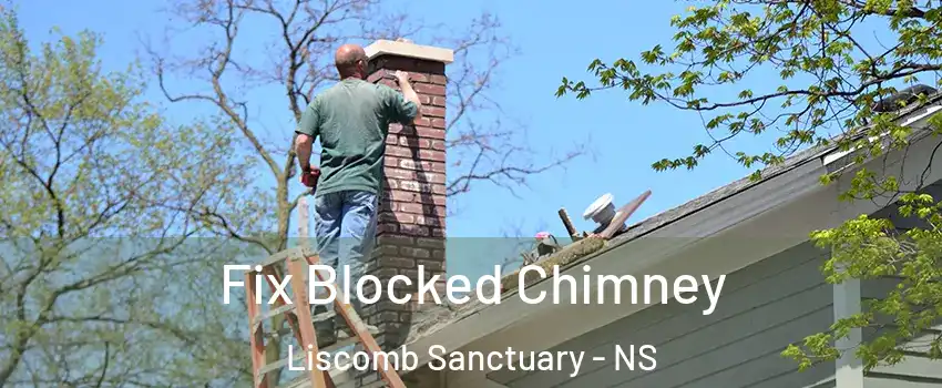  Fix Blocked Chimney Liscomb Sanctuary - NS