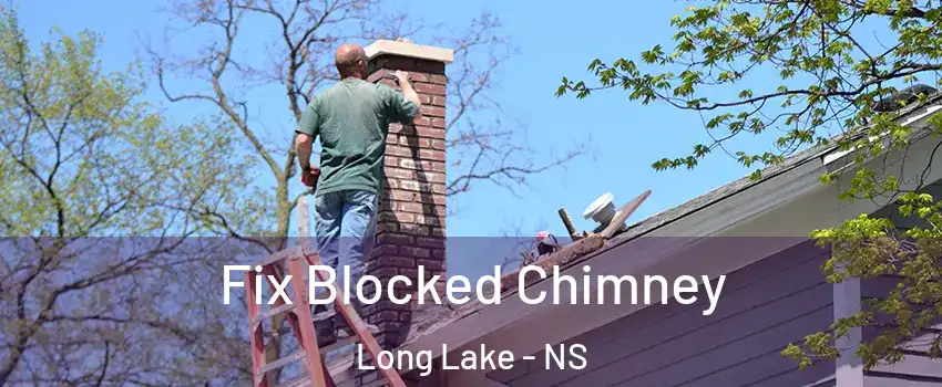  Fix Blocked Chimney Long Lake - NS