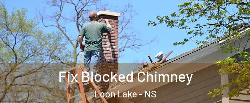 Fix Blocked Chimney Loon Lake - NS