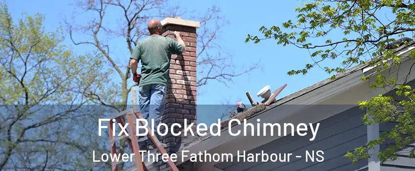  Fix Blocked Chimney Lower Three Fathom Harbour - NS