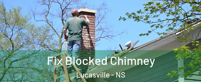  Fix Blocked Chimney Lucasville - NS