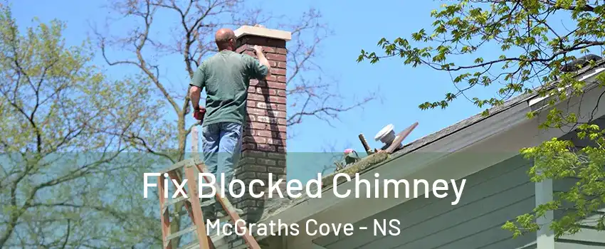  Fix Blocked Chimney McGraths Cove - NS