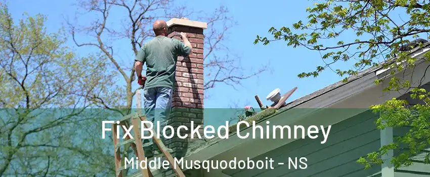  Fix Blocked Chimney Middle Musquodoboit - NS