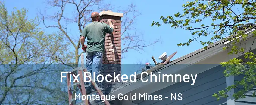  Fix Blocked Chimney Montague Gold Mines - NS
