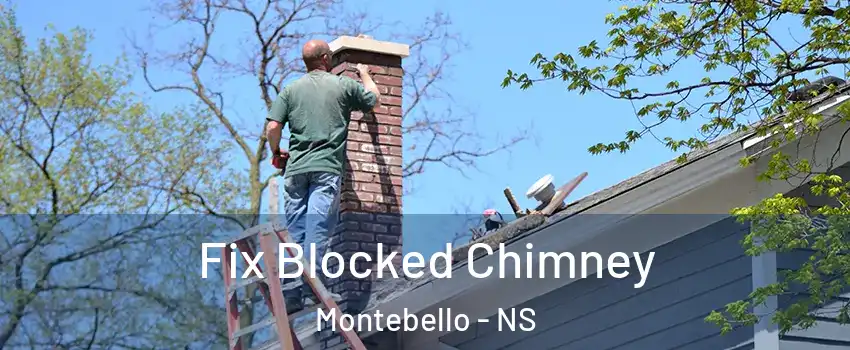  Fix Blocked Chimney Montebello - NS