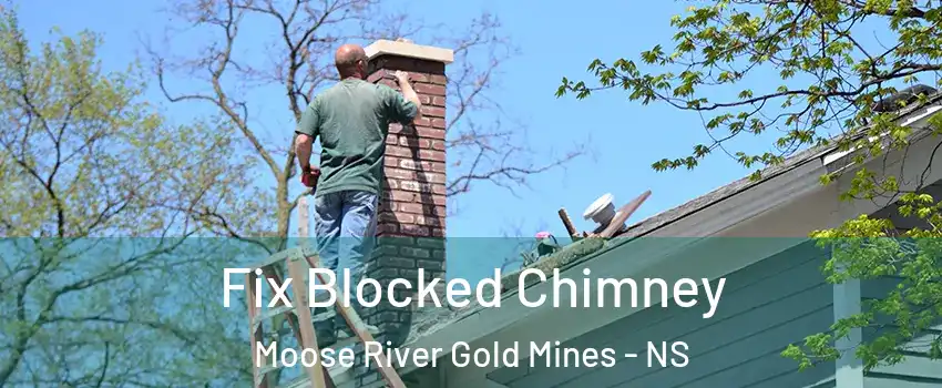  Fix Blocked Chimney Moose River Gold Mines - NS