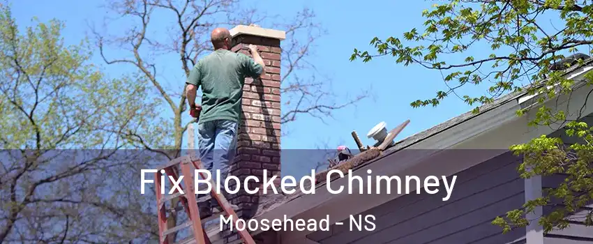 Fix Blocked Chimney Moosehead - NS