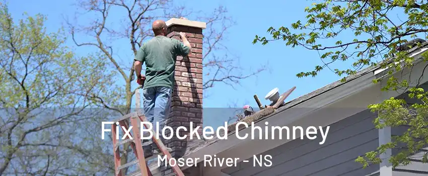  Fix Blocked Chimney Moser River - NS