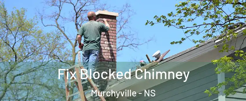  Fix Blocked Chimney Murchyville - NS