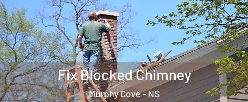  Fix Blocked Chimney Murphy Cove - NS