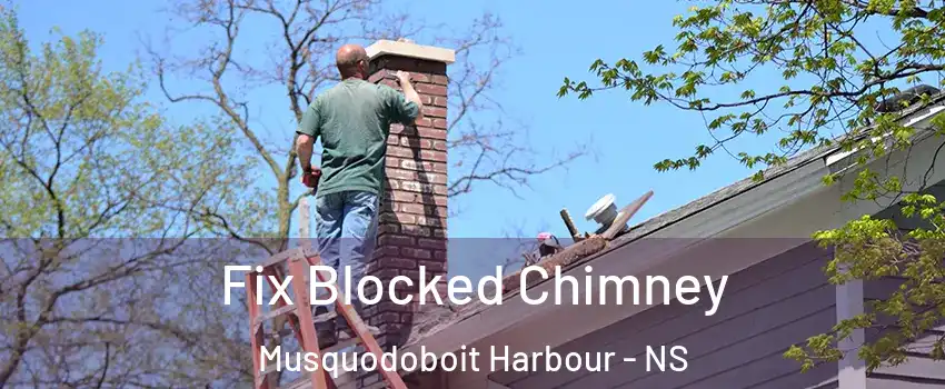  Fix Blocked Chimney Musquodoboit Harbour - NS
