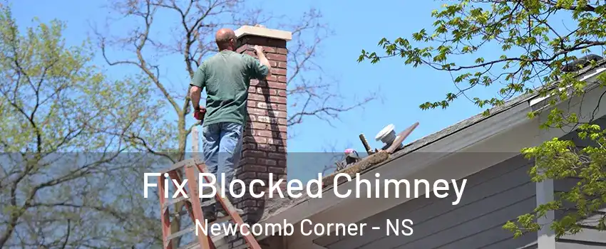  Fix Blocked Chimney Newcomb Corner - NS