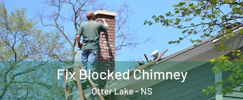  Fix Blocked Chimney Otter Lake - NS