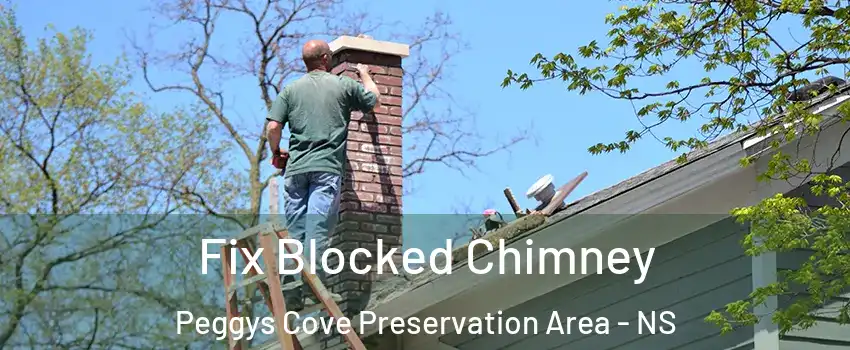  Fix Blocked Chimney Peggys Cove Preservation Area - NS