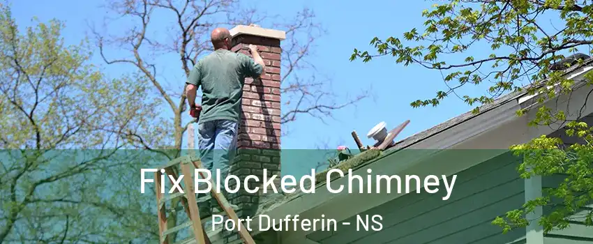 Fix Blocked Chimney Port Dufferin - NS