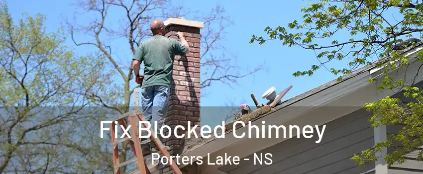  Fix Blocked Chimney Porters Lake - NS