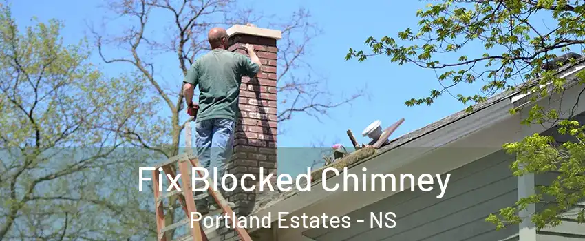  Fix Blocked Chimney Portland Estates - NS
