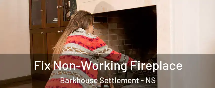  Fix Non-Working Fireplace Barkhouse Settlement - NS