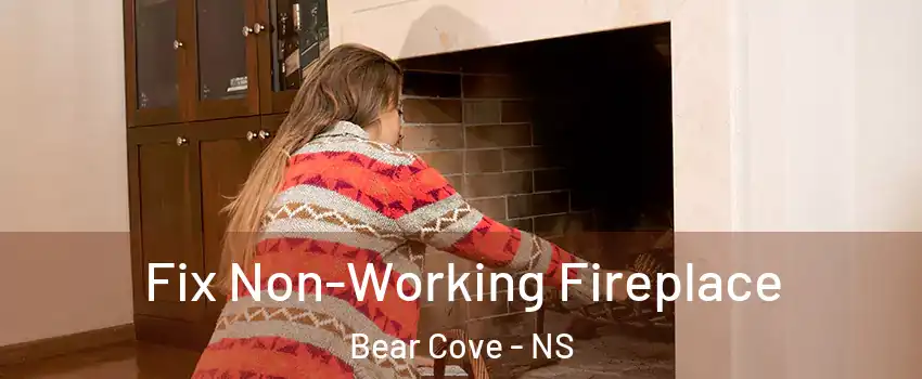  Fix Non-Working Fireplace Bear Cove - NS