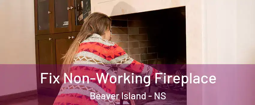  Fix Non-Working Fireplace Beaver Island - NS