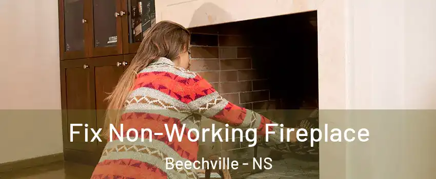  Fix Non-Working Fireplace Beechville - NS