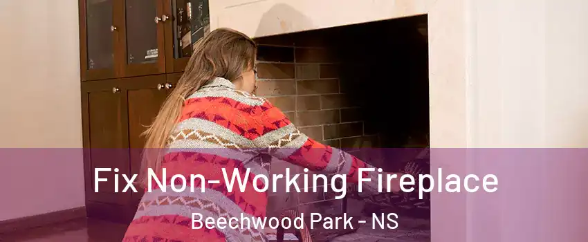  Fix Non-Working Fireplace Beechwood Park - NS
