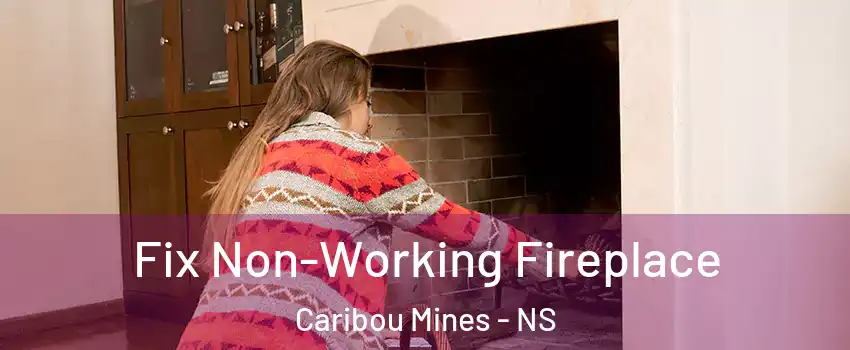  Fix Non-Working Fireplace Caribou Mines - NS