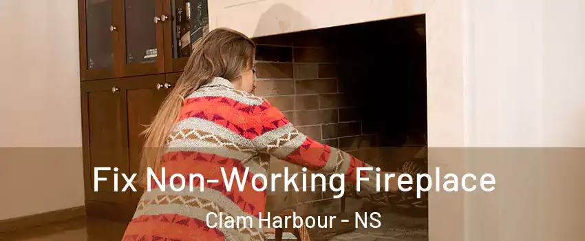 Fix Non-Working Fireplace Clam Harbour - NS