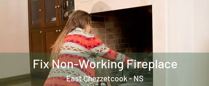  Fix Non-Working Fireplace East Chezzetcook - NS