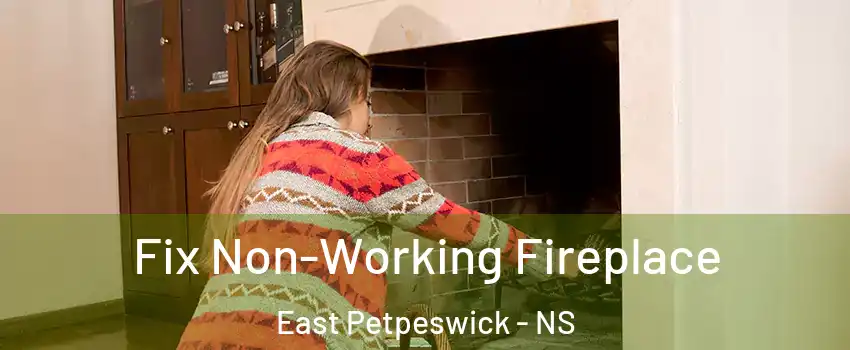  Fix Non-Working Fireplace East Petpeswick - NS