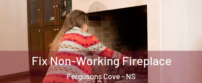  Fix Non-Working Fireplace Fergusons Cove - NS