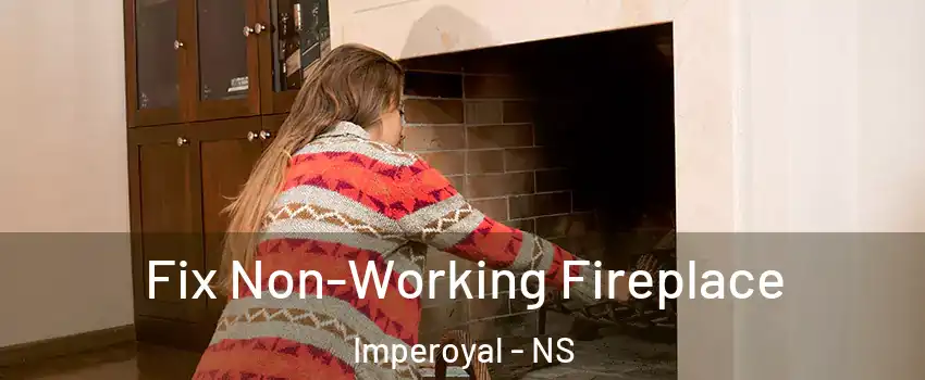  Fix Non-Working Fireplace Imperoyal - NS