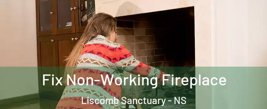  Fix Non-Working Fireplace Liscomb Sanctuary - NS